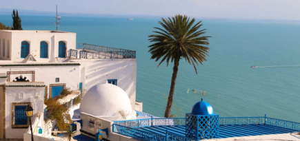 Россия возобновила авиасообщение с Тунисом, Швецией и еще семью странами