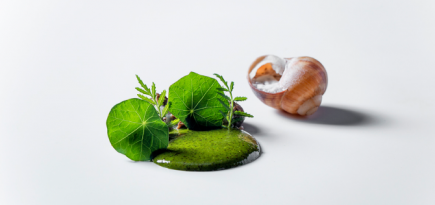 Ресторан Touch Chef’s Place & Bar представил новый гастрономический сет