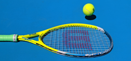 Российские и белорусские теннисисты смогут выступить на US Open