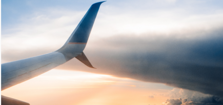 «Аэрофлот» и Ространснадзор изменят правила провоза ручной клади и багажа в России