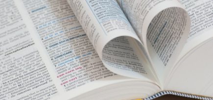 Словарь Merriam-Webster назвал «аутентичный» словом 2023 года
