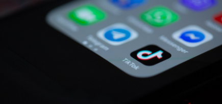 TikTok стал самой посещаемой онлайн-платформой 2021 года