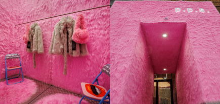 p.p.s. представил новый арт-проект