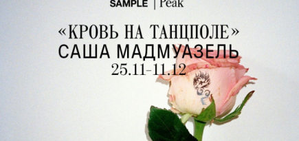 Магазин Peak и Sample запускают серию совместных выставок