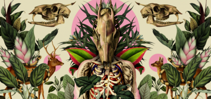 В пространстве «Третье место» продолжается выставка цифрового искусства