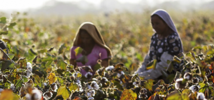 Inditex инвестируют 15 миллионов евро в Регенеративный фонд природы