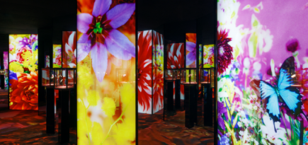 Van Cleef & Arpels и художница Мика Нинагава откроют выставку в Москве