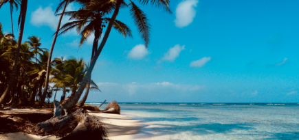 Каймановы острова отменяют все ковидные ограничения для туристов