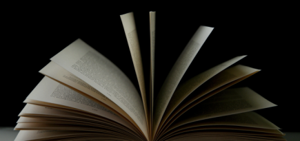 Маргарет Этвуд и Сьюзен Коллинз выступили против использования их книг ИИ