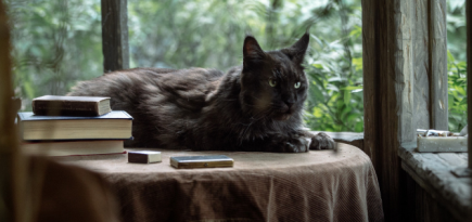 Клас Банг в роли Понтия Пилата в новом трейлере «Мастера и Маргариты»