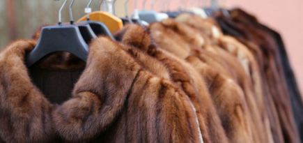 Власти Италии запретили убийство животных ради меха