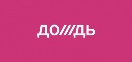 Латвийские власти решили сохранить рабочие визы сотрудникам «Дождя»*