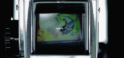 Арт-планы на выходные: 16—17 апреля