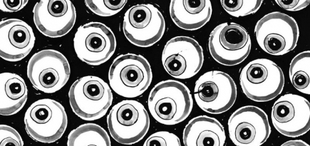 Братья Чепмены и Трейси Эмин создали азбуку-раскраску