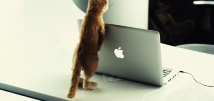 Экскурсия Buro 24/7: офис Mail.Ru Group