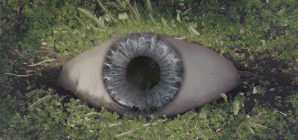 Песня дня: Empire of the Sun — High and Low