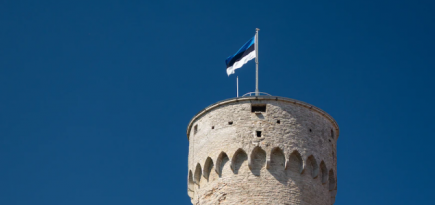 Эстония закроет границы для россиян с шенгенскими визами, выданными республикой