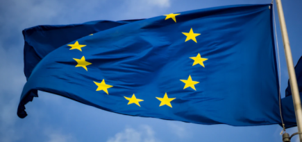 В ЕС вынесли на обсуждение запрет шенгенских виз для россиян