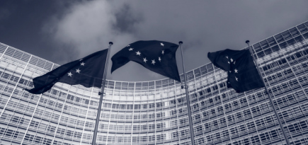 Еврокомиссия призвала одобрить присоединение к шенгенским соглашениям Болгарии, Хорватии и Румынии