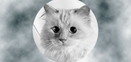 Девушка недели: Шупетт Лагерфельд