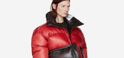 Тенденции-2017: необычные пуховики