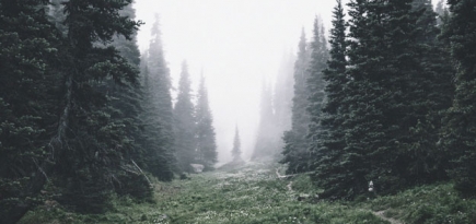 Куда бежать из Москвы и Петербурга на время чемпионата мира по футболу