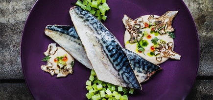 Гастрономический арт-фестиваль Foodiez of Moscow: еда, которую вы точно не пробовали