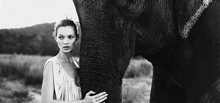 Ретроспектива Артура Элгорта в Милане