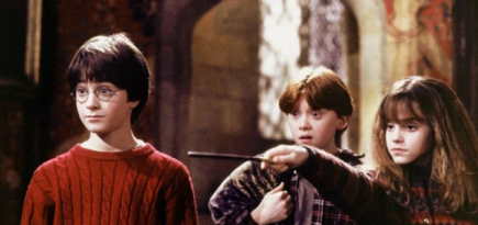 Серия книг о Гарри Поттере будет недоступна на «ЛитРес» и MyBook