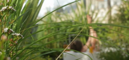 9 банных историй в новом мини-фильме Hermès