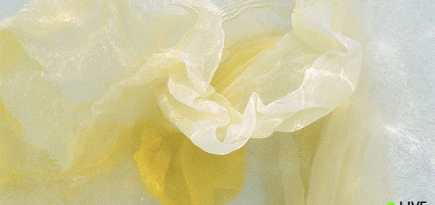 Прямая трансляция показа Hermès, весна-лето 2017