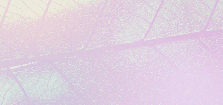 Звездочки и сеточки: что такое купероз и как от него избавиться