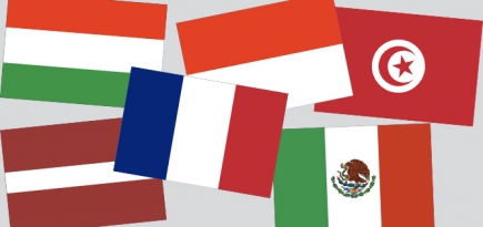 Поправки в Конституцию: опыт Индонезии, Франции и других стран