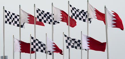 Культтуризм с Владимиром Раевским: гонки «Формула-1» глазами ценителя поэзии