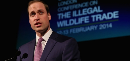 Британские монархи на форуме Illegal Wildlife Trade в Лондоне