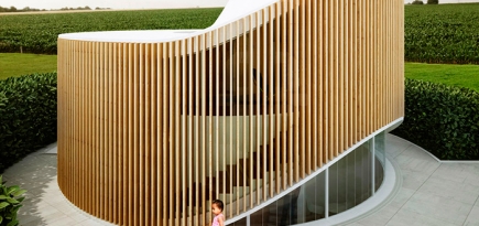 Дом как дерево: арт-резиденция от архитекторов Penda