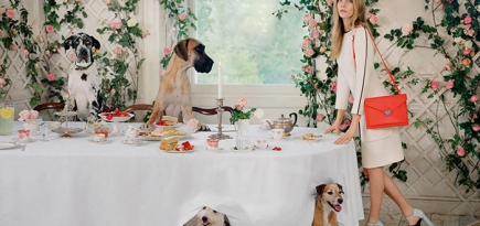 Дом Mulberry остался без генерального директора