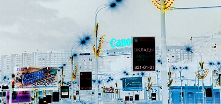 Как выжить в Москве после конца денег