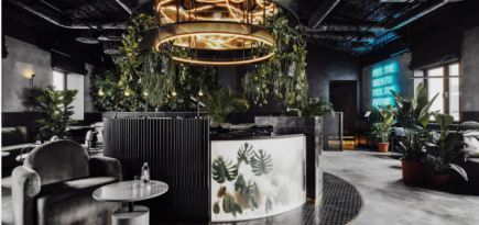 В Munterra прошел вечер предсказаний проекта «Ретроградный Меркурий»