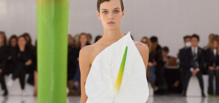 Фэшн-платформа Lyst назвала Loewe самым популярным мировым брендом