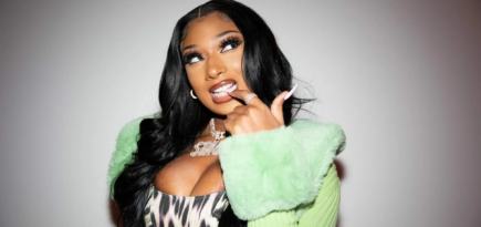 Клип Megan Thee Stallion «Cobra» побил рекорд на YouTube