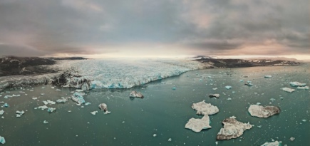 В Москве пройдет фестиваль актуального научного кино ФАНК
