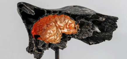 В концепт-сторе Buro All Gallery запускается проект художника Гоши Острецова