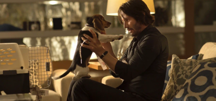 «Кинопоиск» устроит дог-френдли-показ «Джона Уика — 4» на «Плюс Даче»