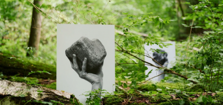 В «Горках Ленинских» открылся проект «Лес. Художественно-терапевтическая тропа»