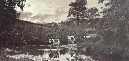 В ЦВК Béton покажут выставку «Шедевры ранней фотографии. 1840–1870 гг.»