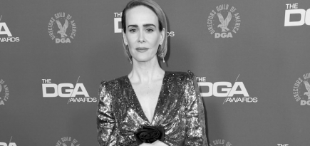 Как прошла 71-я Премия Гильдии режиссеров Америки