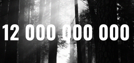 Сумма экологического ущерба в России за прошлый год составила 12 миллиардов рублей