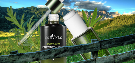 Полынь — почему этот ингредиент так любят в Корее