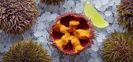 \"Erwin. РекаМореОкеан\": перезагрузка ресторана